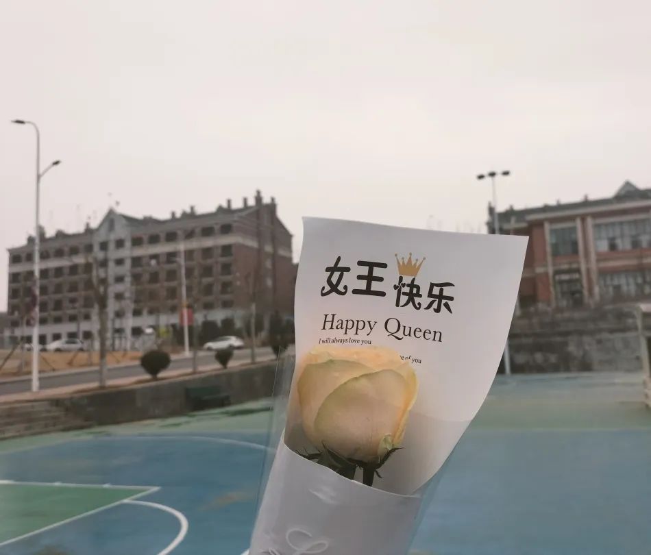 今天，祝各位女神节日快乐！